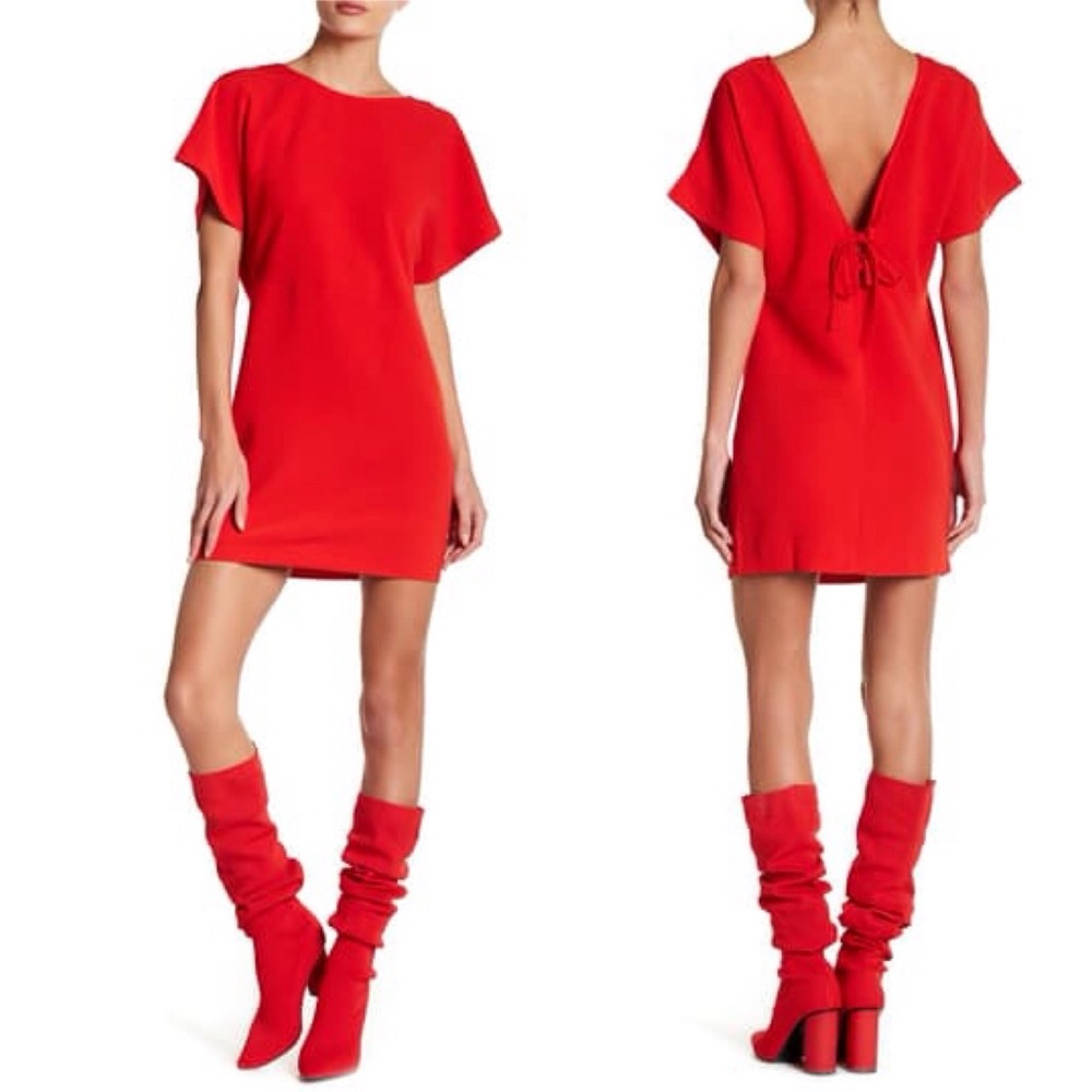 IRO Imany Lace Up Plunging Back Mini Sheath Dress